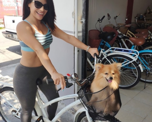 Best Bike Rentals Playa del Carmen